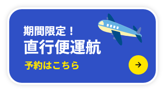 期間限定！直行便運航 予約はこちら